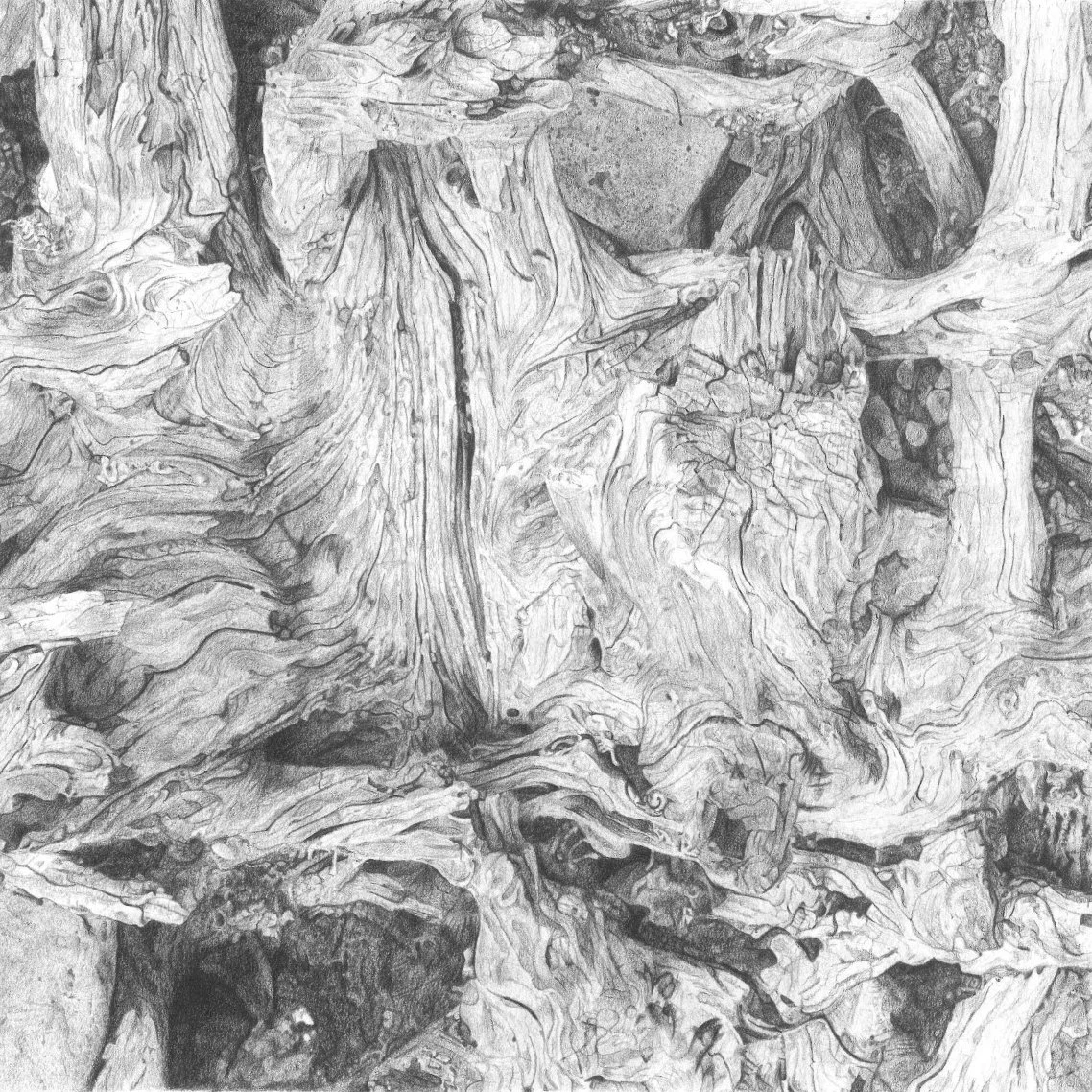 Driftwood 3 Colored Pencil Print on Fine Art Paper — KDB Art Studio